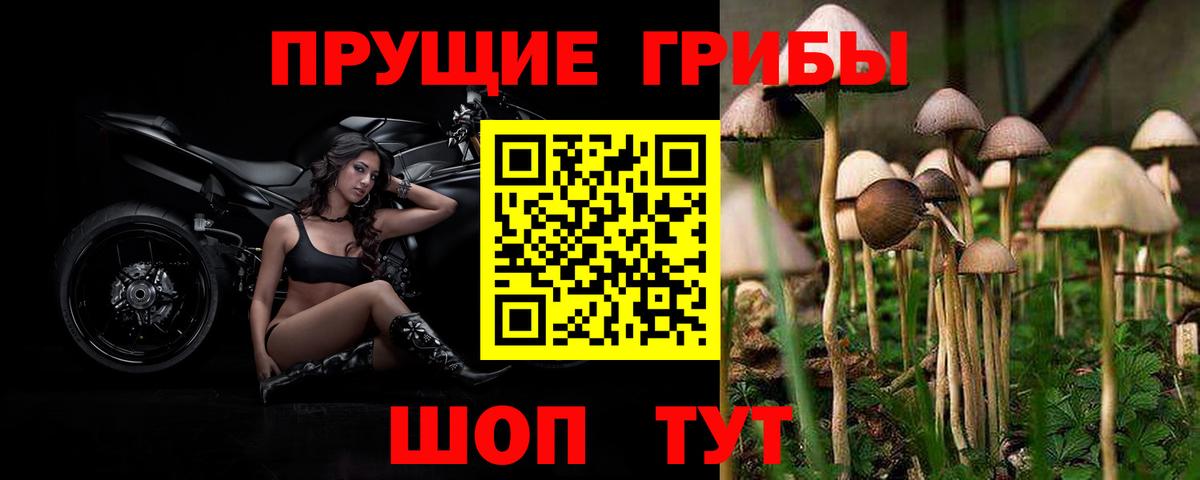 Галлюциногенные грибы GOLDEN TEACHER Чусовой